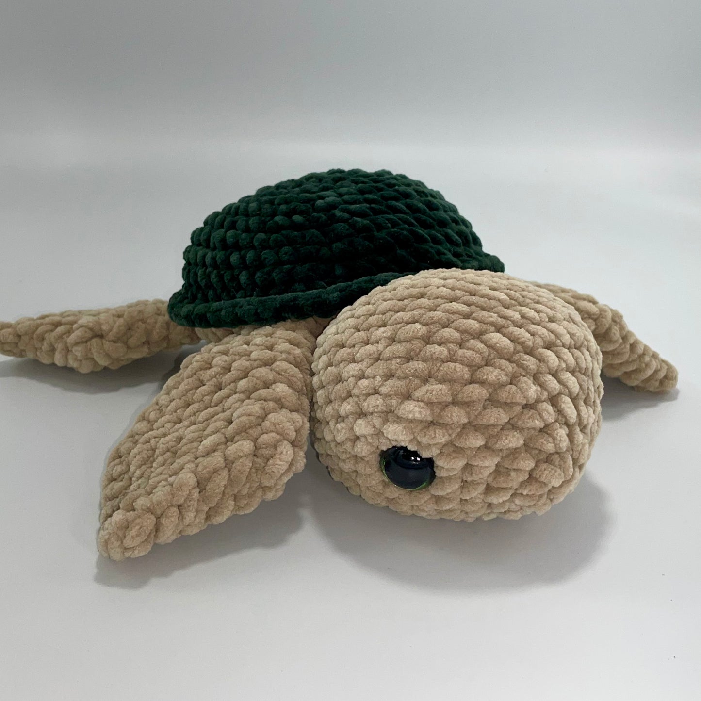 Medium Green Turtle