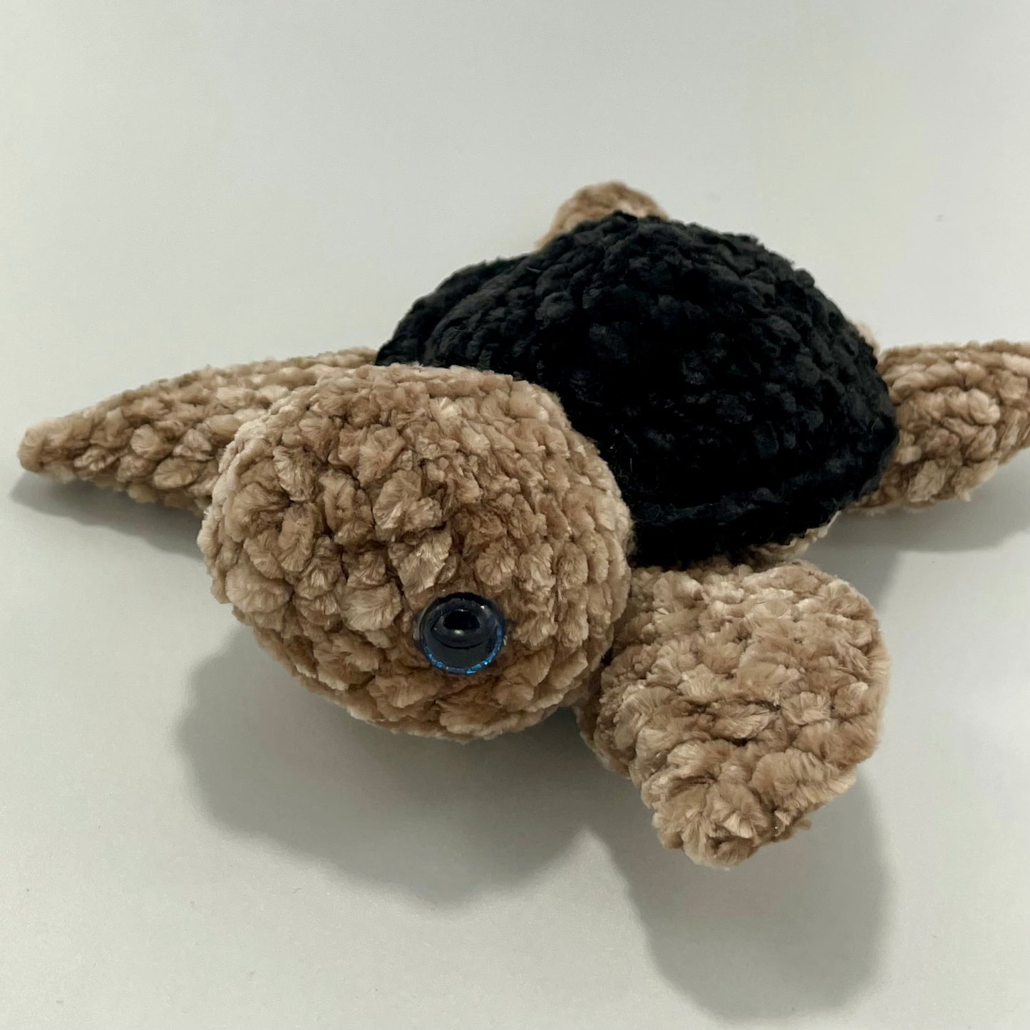 Xsmall Black Turtle