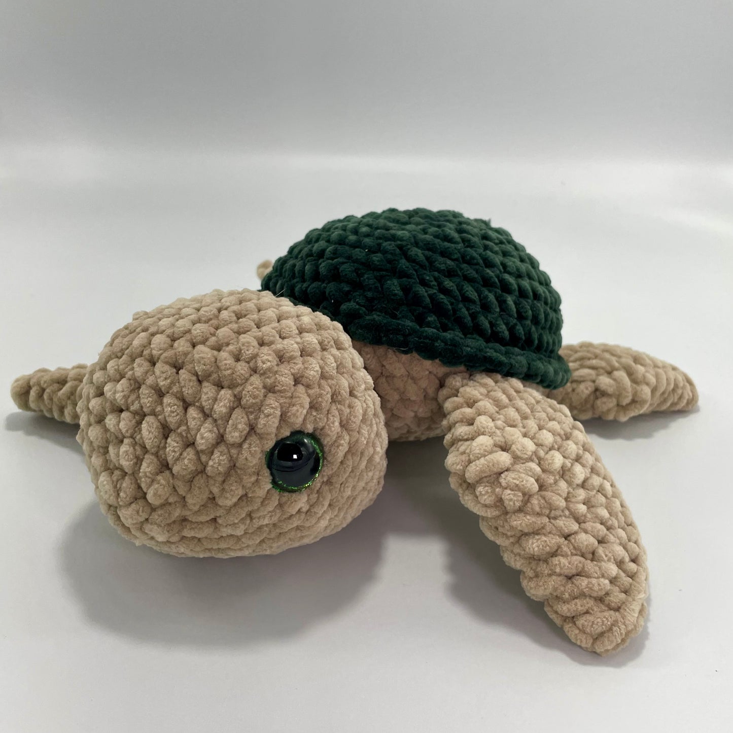 Medium Green Turtle