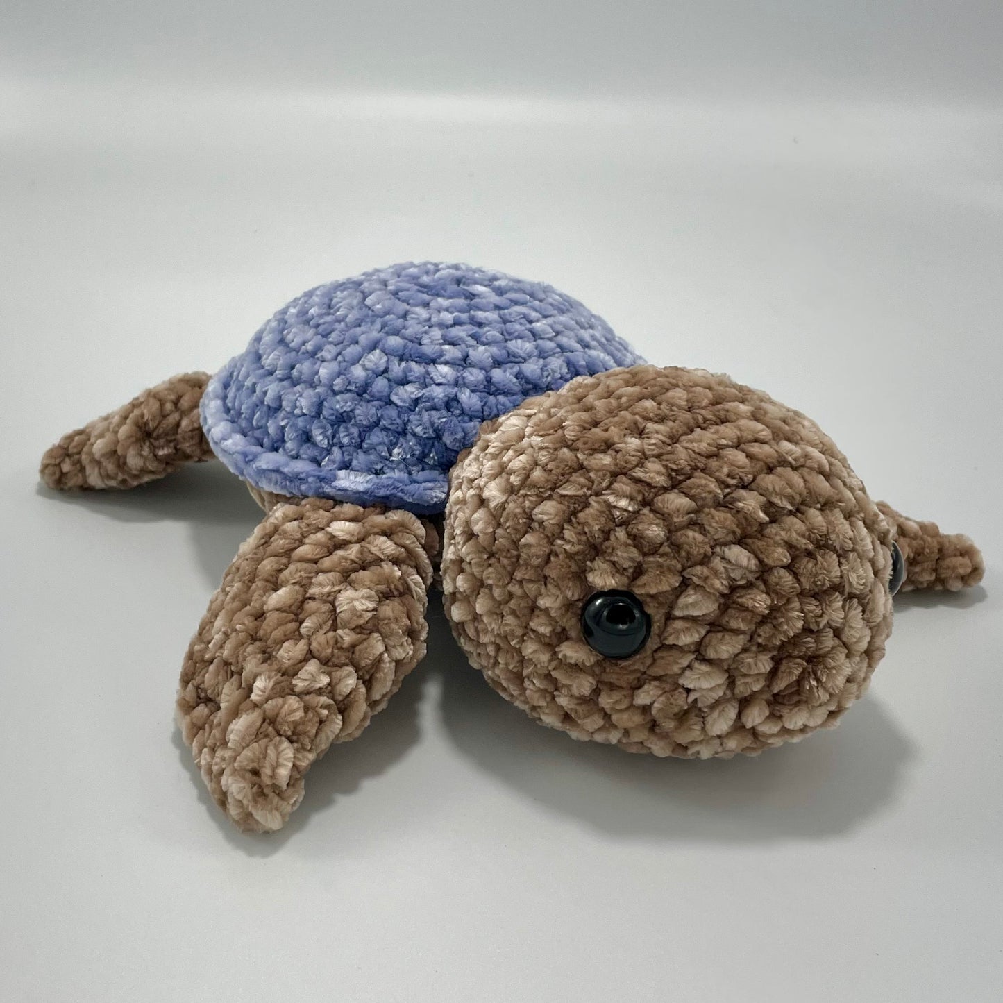 Medium light blue Turtle