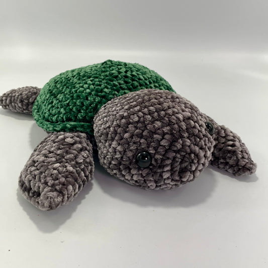 Medium Green turtle